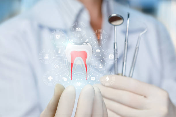 Why Choose Us for Your Dental Needs in East Quogue, NY